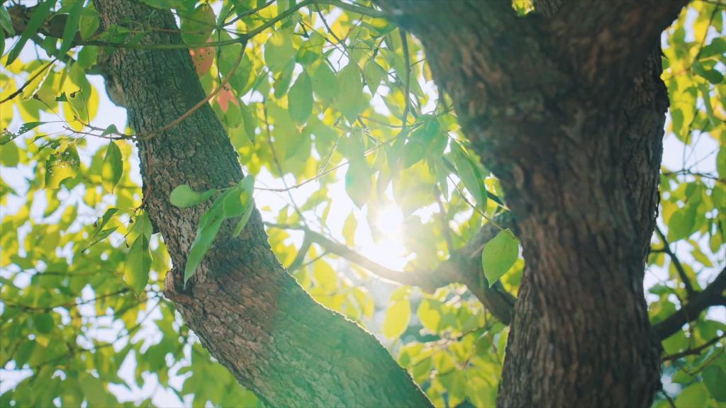 公海贵宾会员检测中心|中国有限公司-官方网站