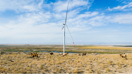 6A253CCAC34DC97C9C733135314_D2ABF8C4_A8DC5