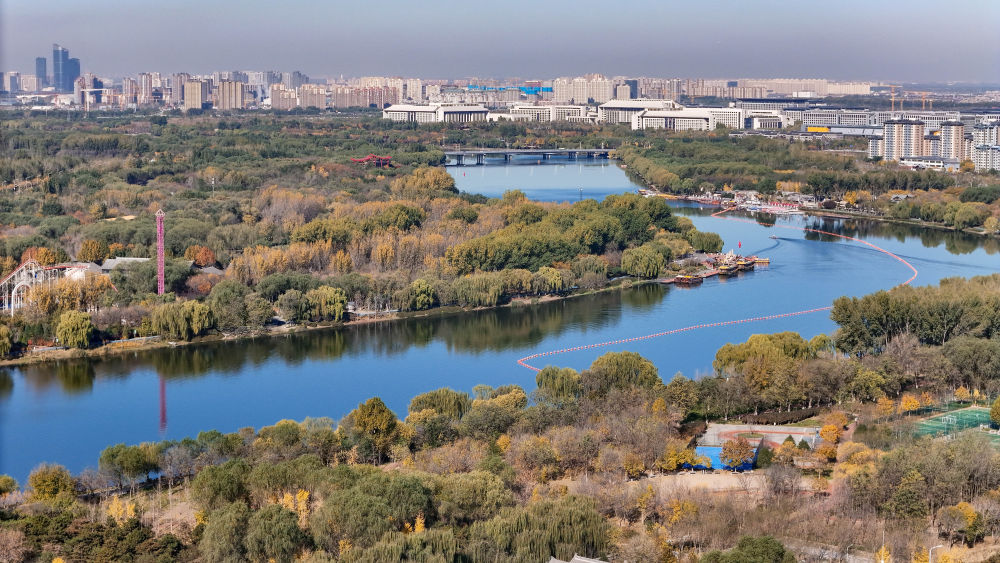 ADD9BEA83D6462467863E01EF7E_073601C6_2DD2B