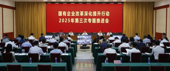 05BDB63E77C4331C3CADDB5E0FD_8A517ECA_1BBDE