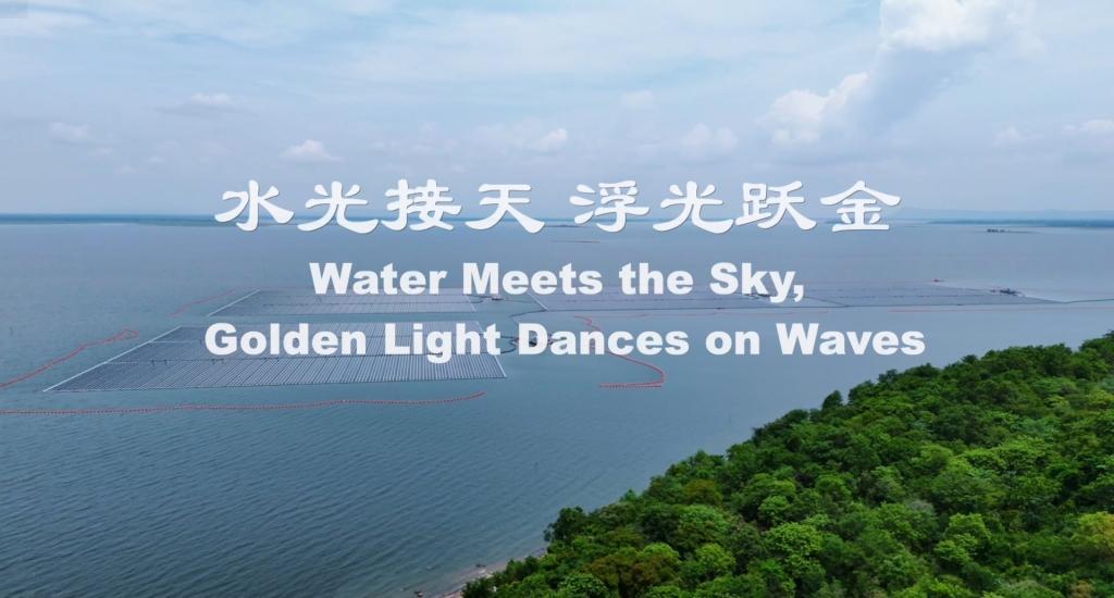 公海贵宾会员检测中心|中国有限公司-官方网站