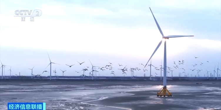 0EEFAC6167AD973D3D46B733682_F2882D0E_2F44A