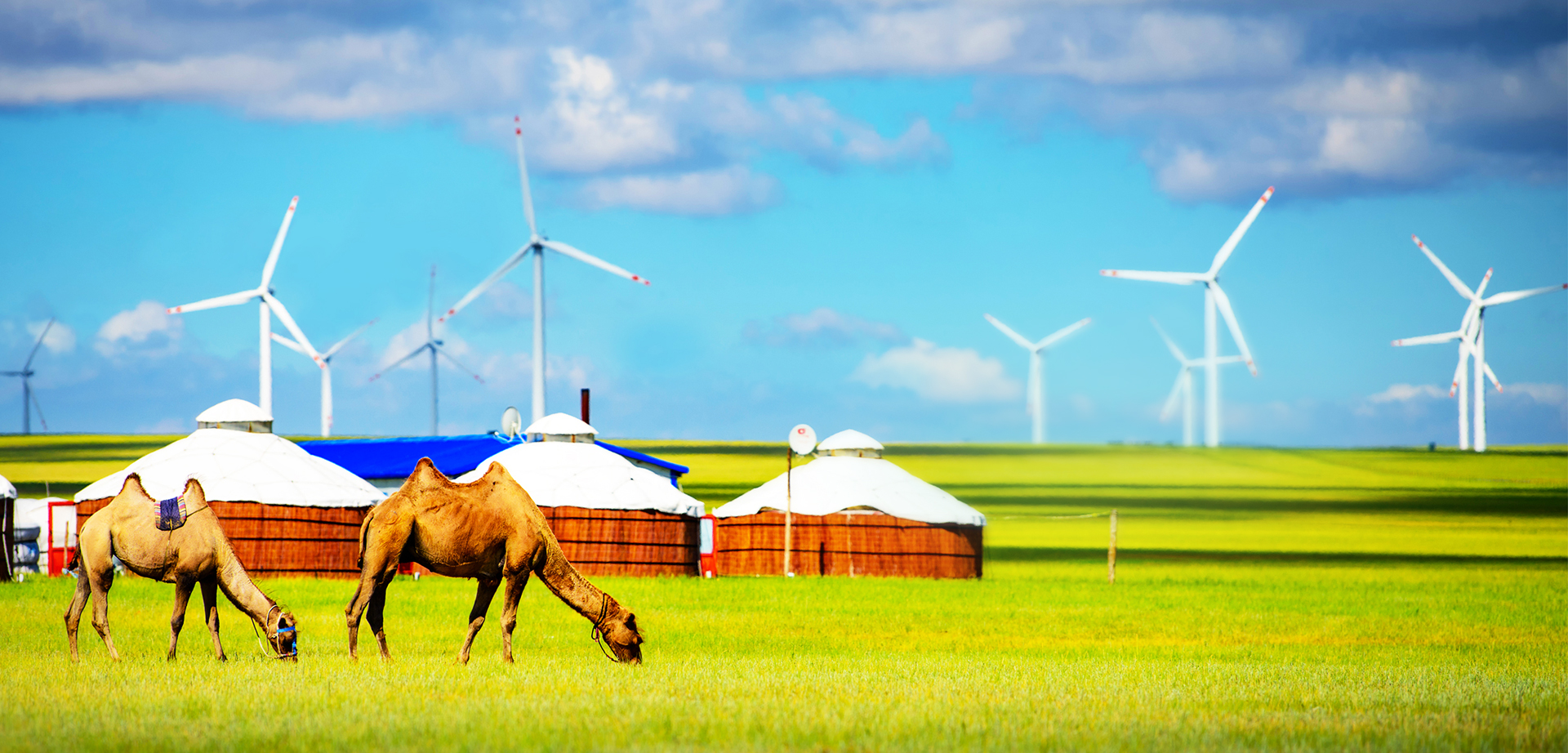 公海贵宾会员检测中心|中国有限公司-官方网站